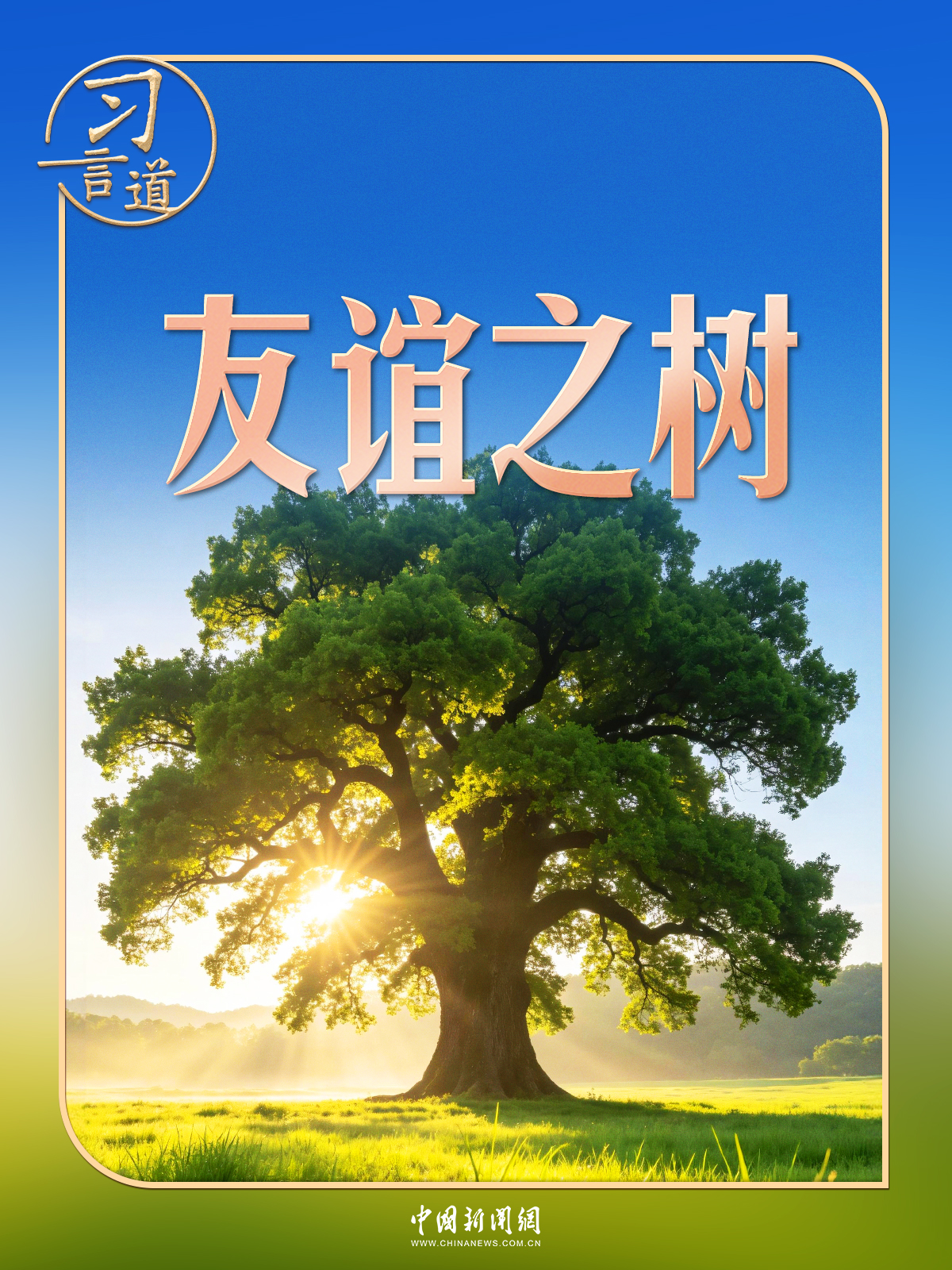 习言道｜在白宫，习近平提到了一棵树和一片林