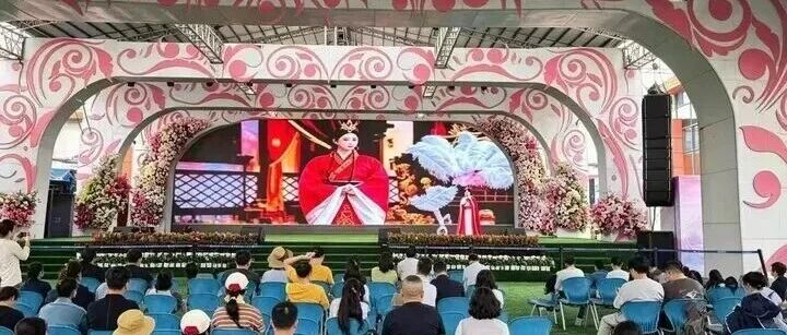 千年跨越！解忧公主“回家”绽放荷兰花海！