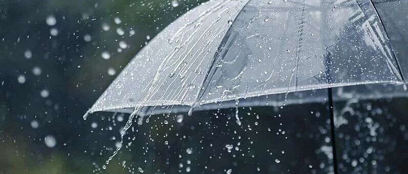 最低9℃+8级大风！江苏国庆假期天气预报出炉：先雨后晴，两股冷空气到访，气温波动较大，部分时段伴有大风、局地大雾