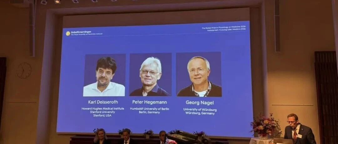 2026年诺贝尔生理学或医学奖揭晓，3名科学家获奖，将平分1200万瑞典克朗（约合802万元人民币）奖金