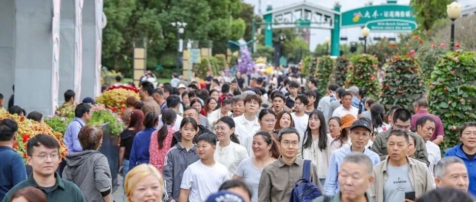 数据出炉！盐城，全城火爆！