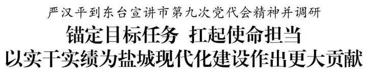 要闻丨严汉平到东台宣讲市第九次党代会精神并调研