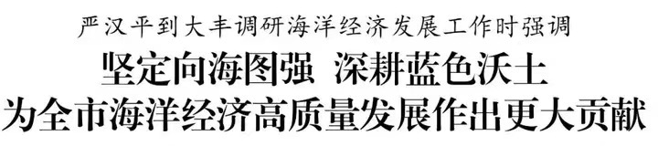要闻丨严汉平到大丰调研海洋经济发展工作