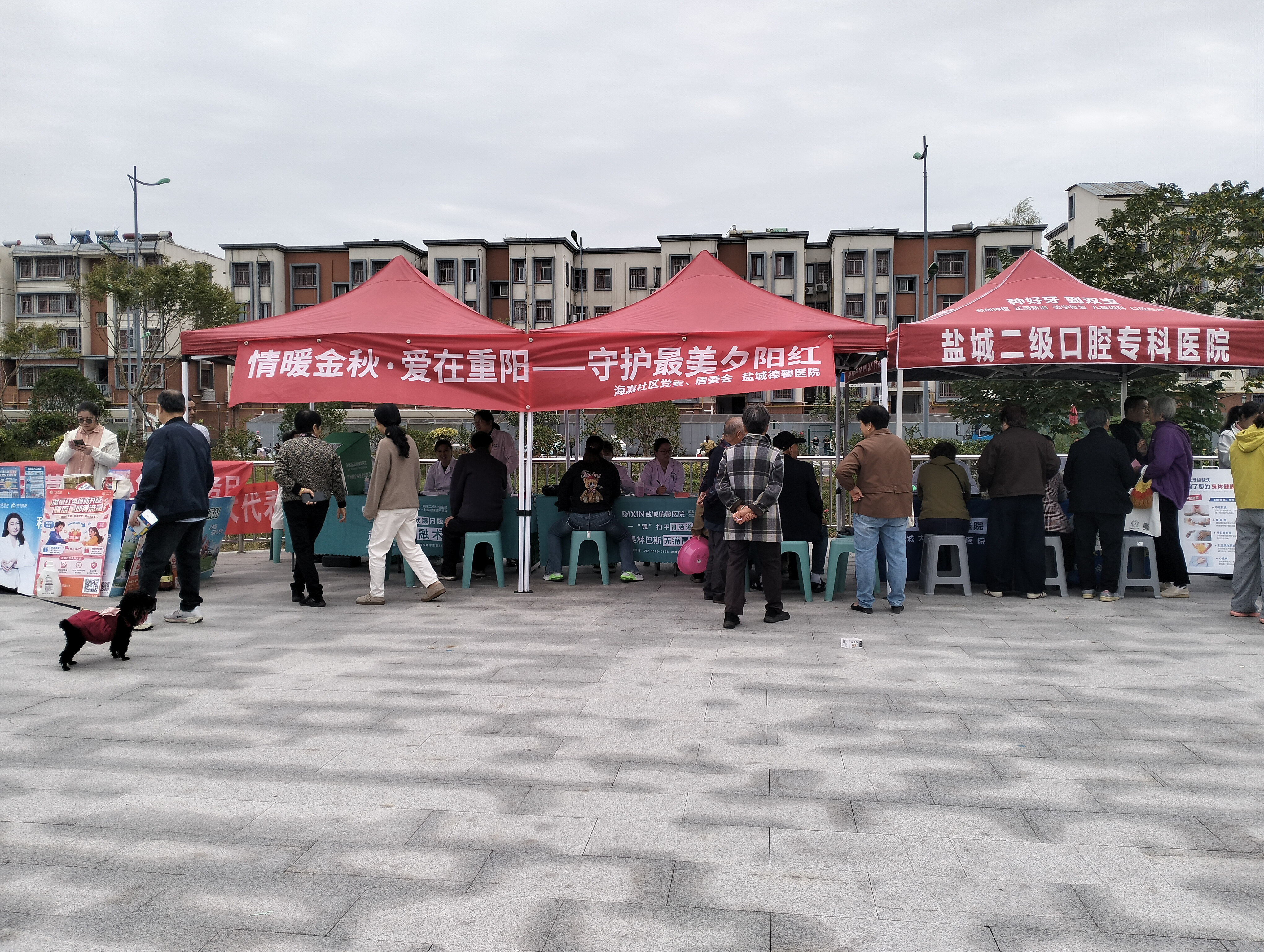 海嘉社区举行“情暖金秋·爱在重阳”义诊活动