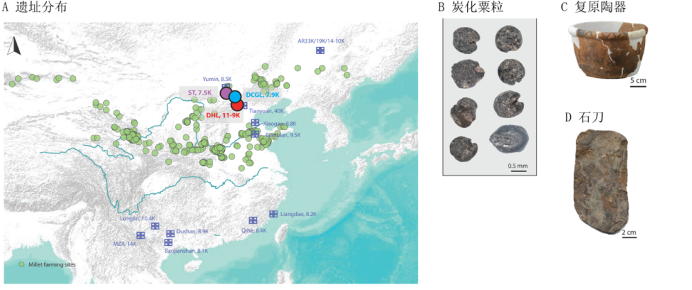 我国科学家揭示中国北方早期粟作人群的本地起源