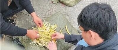 “硫磺熏制鲜竹笋”最新通报：已对有关加工原料及产品进行查封，对涉事人员依法开展调查取证