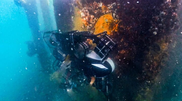 给海洋机器人装上“最强大脑”，全球首个海洋通用基座大模型通过国家备案