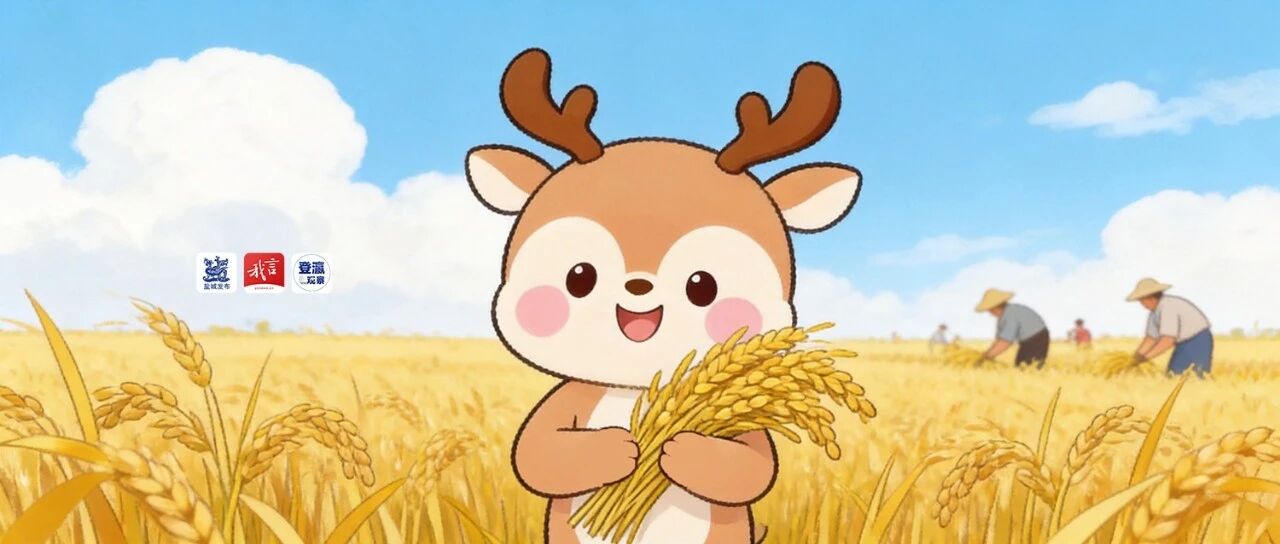 就等这一口，又有好饭可以干了！